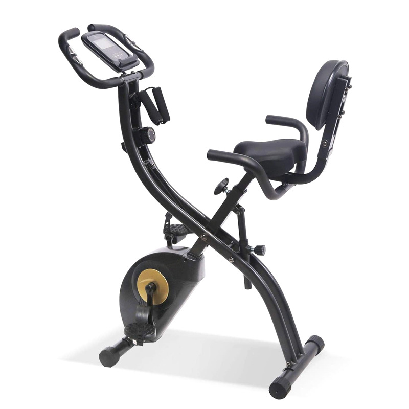 2025 New Trend Indoor Stationa - đánh giá và giá Home Gym Bike