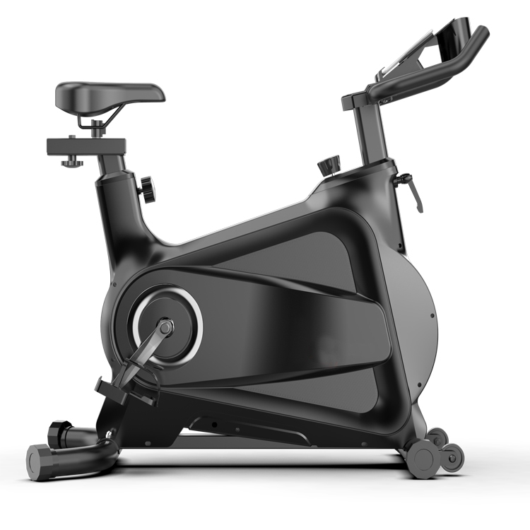 Fitness Club Use Exercise Bicy - đánh giá và giá Home Gym Bike