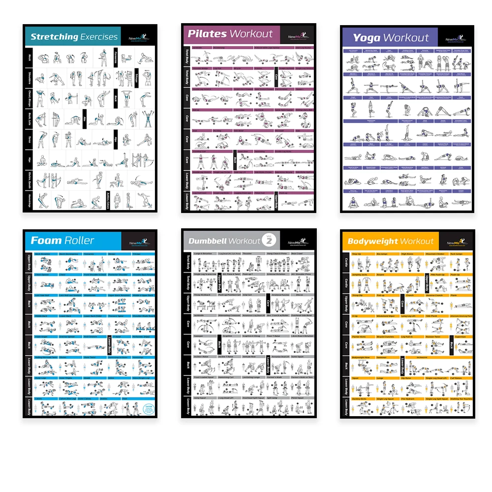 Body Exercise Training Chart W - đánh giá và giá Home Gym Setup