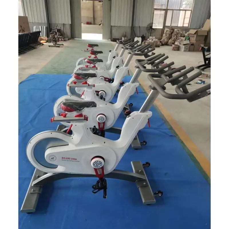 Professional Magnetic Resistan - đánh giá và giá Home Gym Bike