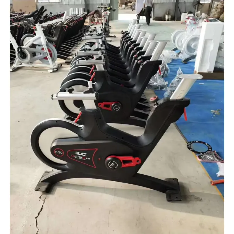 Professional Magnetic Resistan - đánh giá và giá Home Gym Bike
