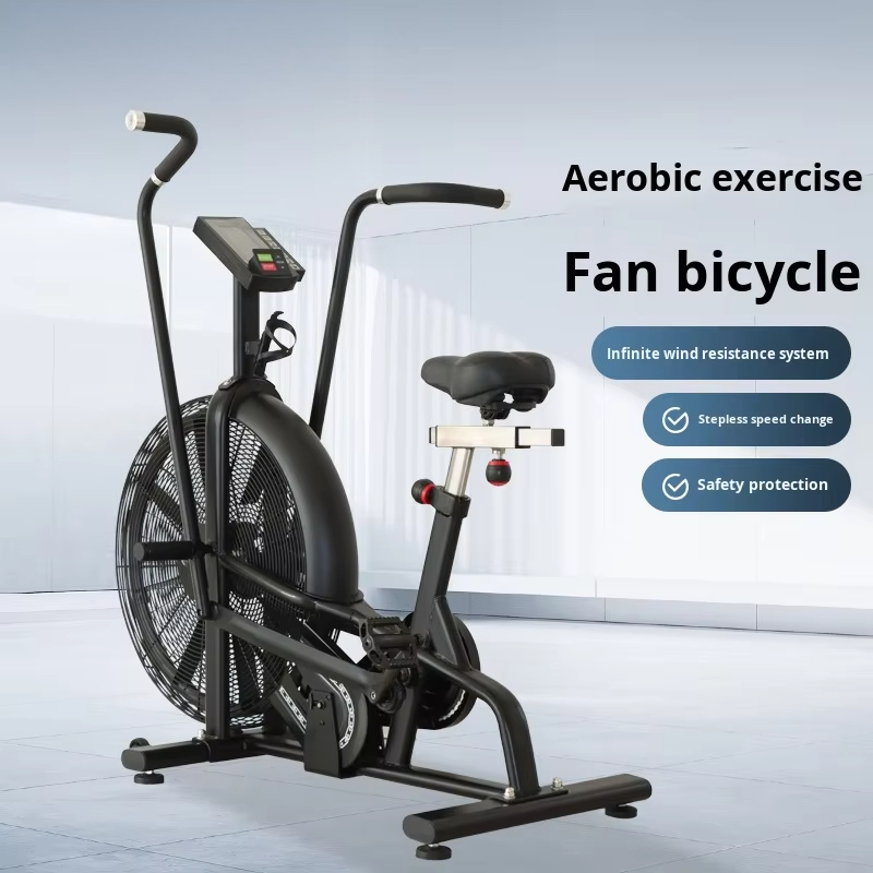 Commercial Wind Resistance Aer - đánh giá và giá Home Gym Bike