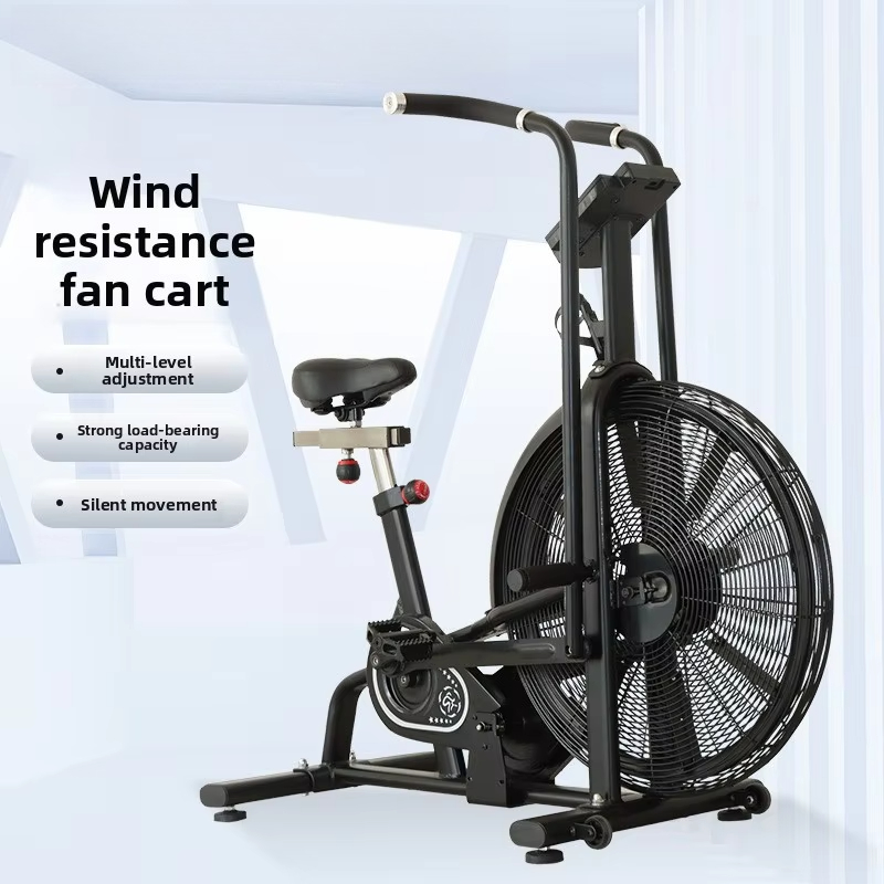 Commercial Wind Resistance Aer - đánh giá và giá Home Gym Bike