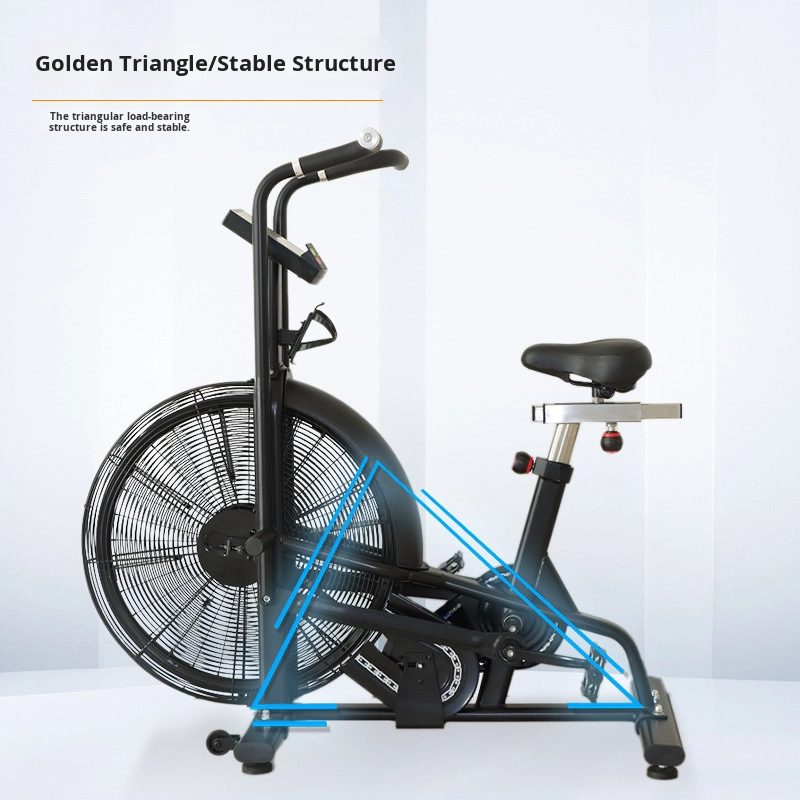 Commercial Wind Resistance Aer - đánh giá và giá Home Gym Bike