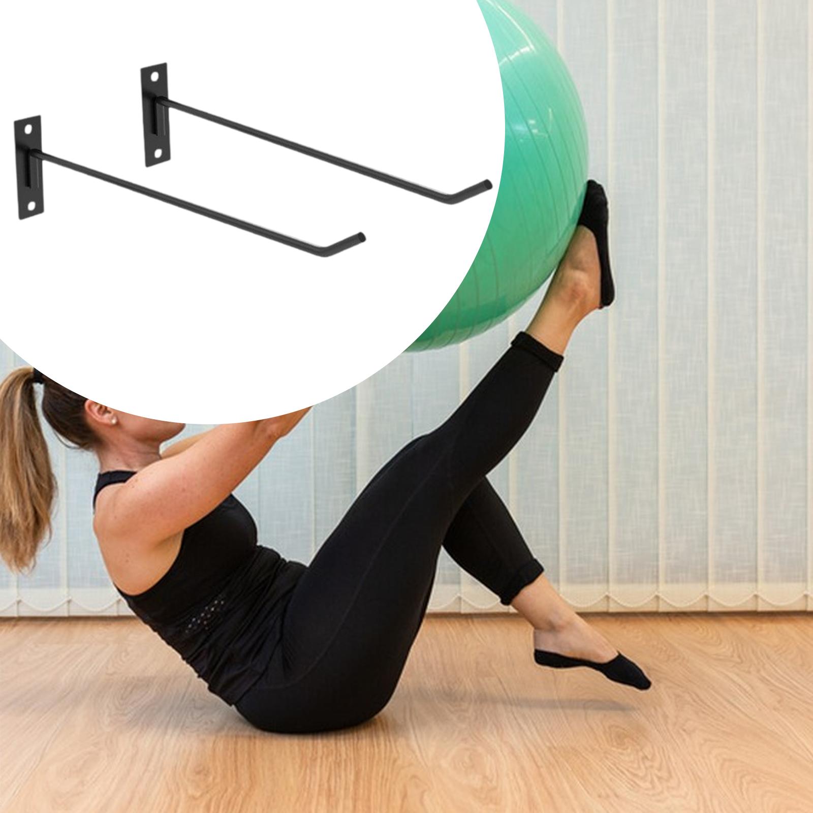 Multipurpose Exercise Ball Hol - đánh giá và giá Home Gym Setup