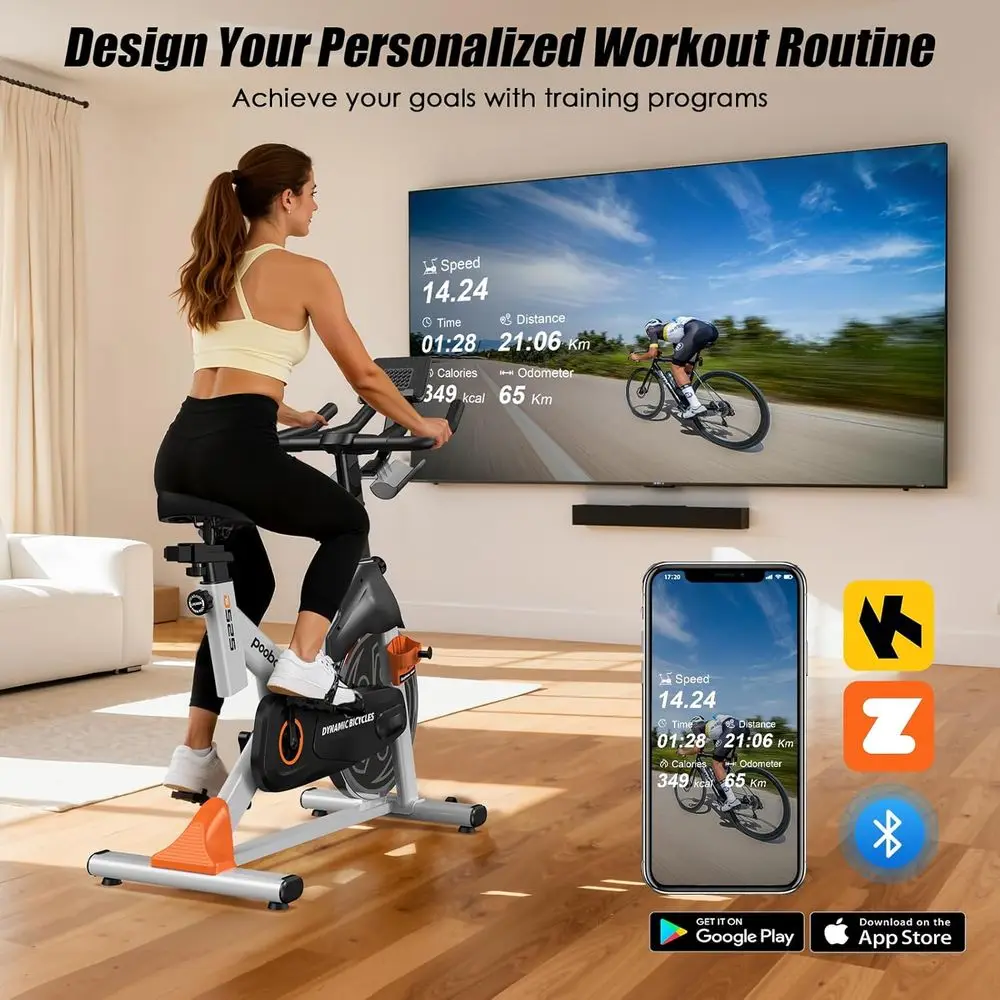 Silent Magnetic Exercise Bike  - đánh giá và giá Home Gym Bike